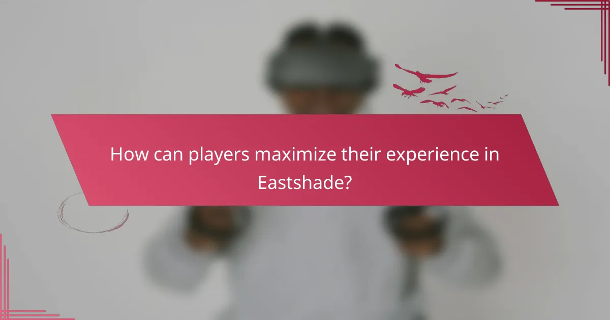 How can players maximize their experience in Eastshade?